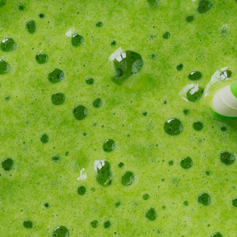 Flora Proteinski smuti